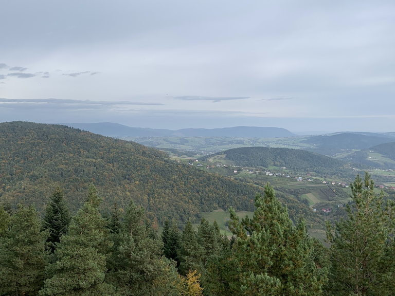 Widok na północ. Na horyzoncie Pasmo Łososińkie