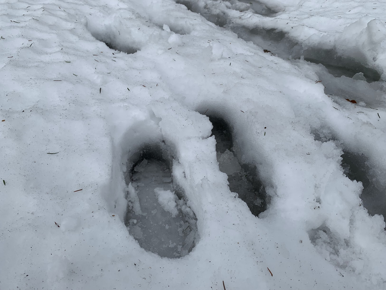 Miękki śnieg, a pod nim woda...