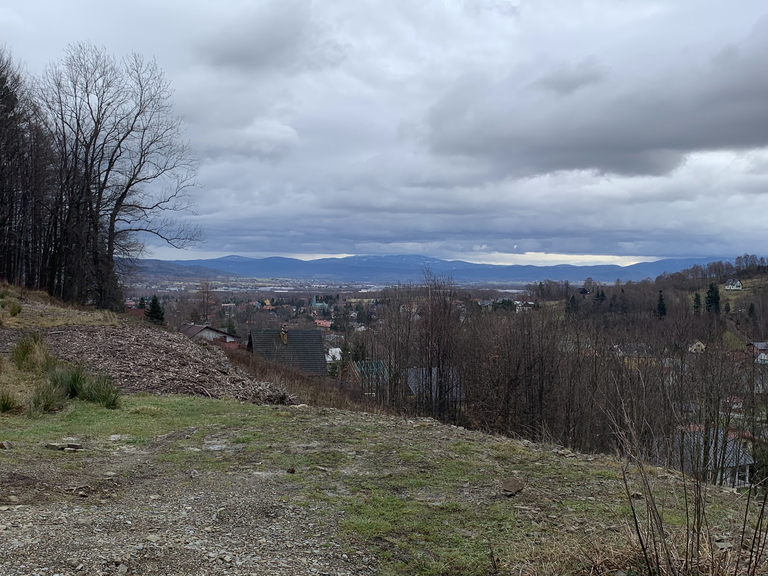 Widok spod Równi pod Kozią. W centrum pod chmurą Babia Góra.