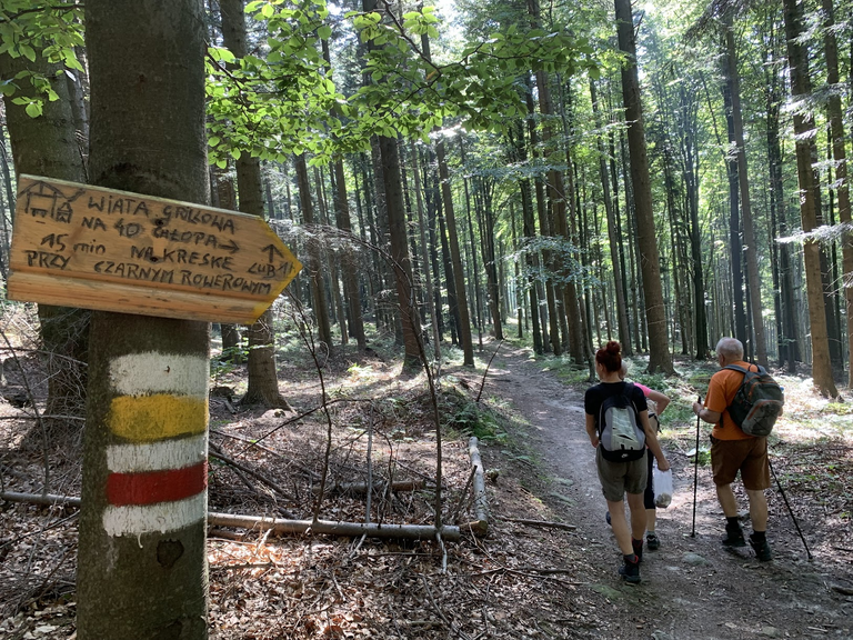 Szlak czerwony PTTK (MSB) oraz ”nieszlak” żółty - Uklejna.