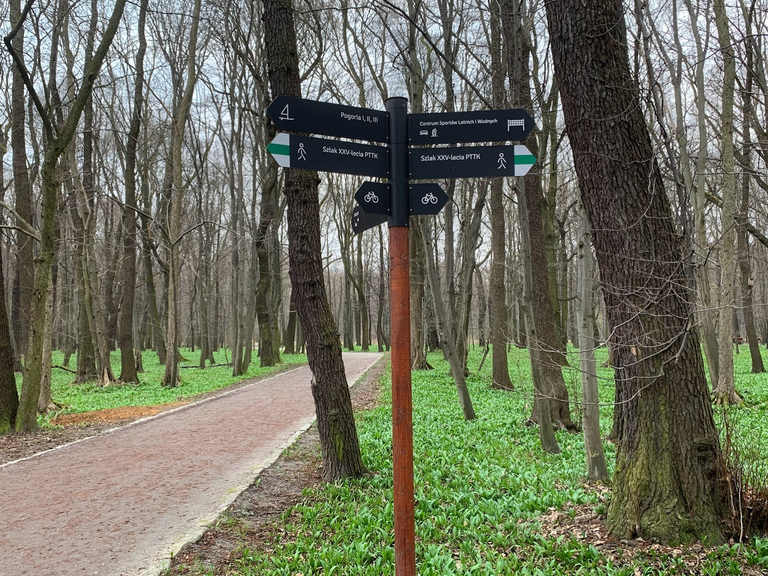 Szlakowskaz w parku Zielona. Poza ścieżką - połacie czosnku niedźwiedziego