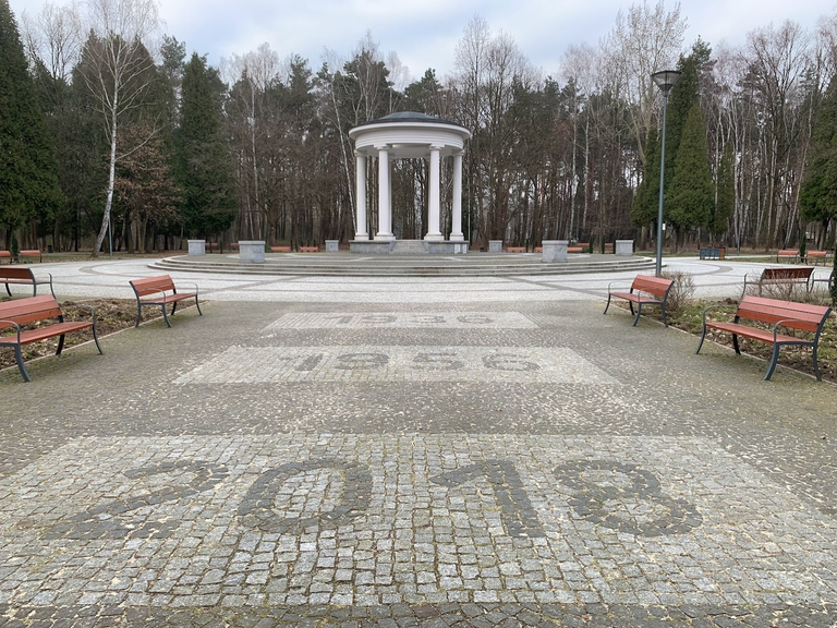 Krąg taneczny w dąbrowskim parku Zielona