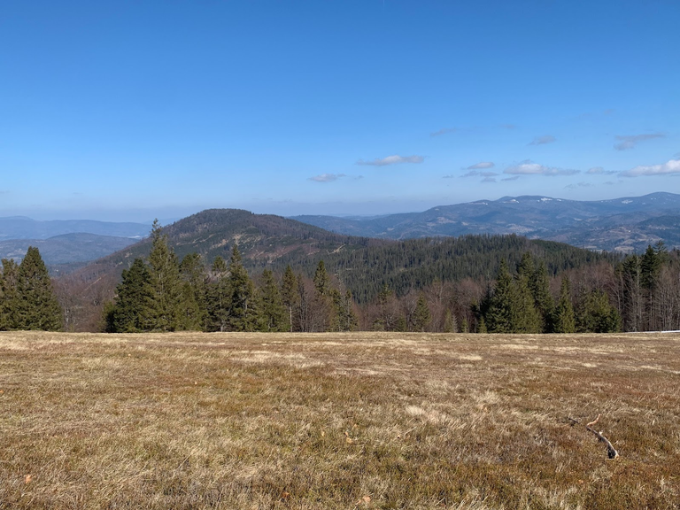 Hala Rycerzowa. Na pierwszym planie Muńcuł, za nim, po prawej pasmo Rysianki i Lipowskiego Wierchu