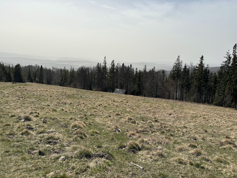 ”Widok” z Hali Kucałowej. Patrzymy w kierunku Beskidu Wyspowego i Gorców