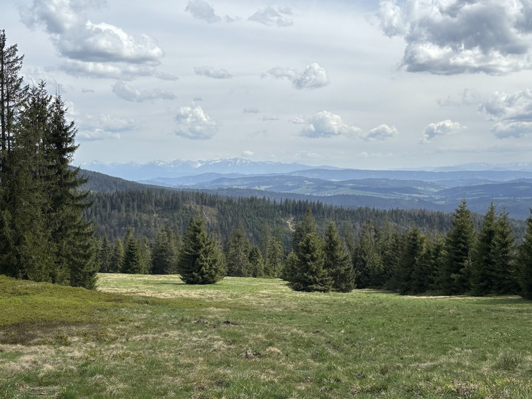 Widok z Rysianki na Tatry Zachodnie (po lewej) oraz Niżne (po prawej, w oddali). Bliższe plany to Magura Orawska (Słowacja).