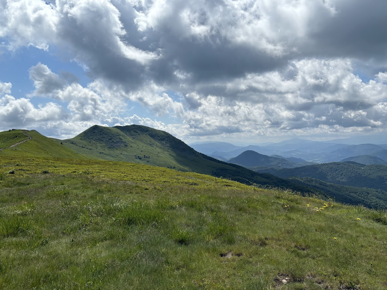 Tarnica (1346m n.p.m.) i Tarniczka (1315m) z charakterystycznym siodłem pomiędzy szczytami. Na prawo od niej ciemny stożek Pliszki (1067m), położonej tuż za granicą PL/UA.