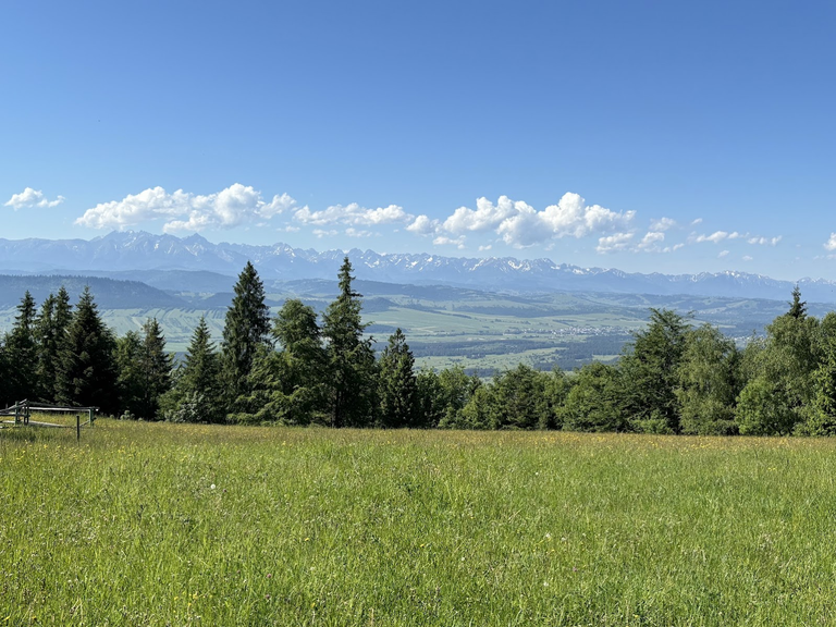 Widok na Tatry ze Studzionek.