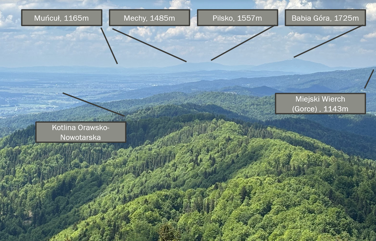 Widok z Lubania na zachód (Gorce, Beskid Żywiecki)