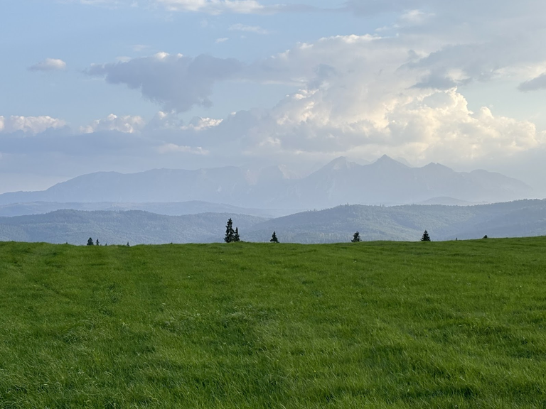 Widok znad Łapsz Niżnych (przed podejściem na Żar). Widać Tatry Bielskie, z charakterystycznymi ”piramidami” Płaczliwej Skały i Hawrania. Godzina 17:44