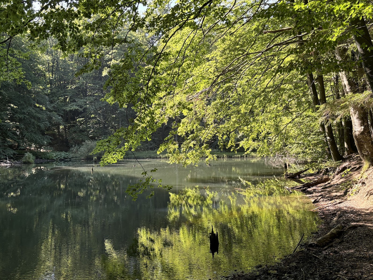 Jeziorka Duszatyńskie (1)