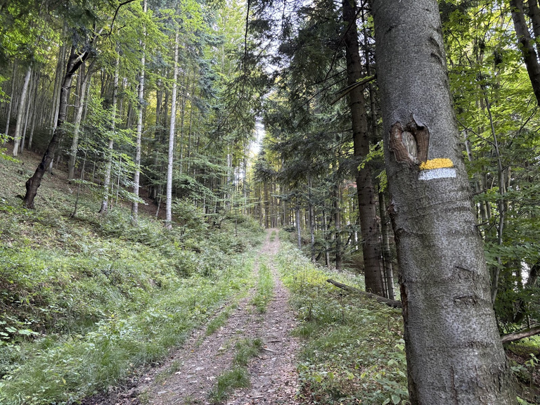 Trawers Makowicy - oznaczenie w terenie.