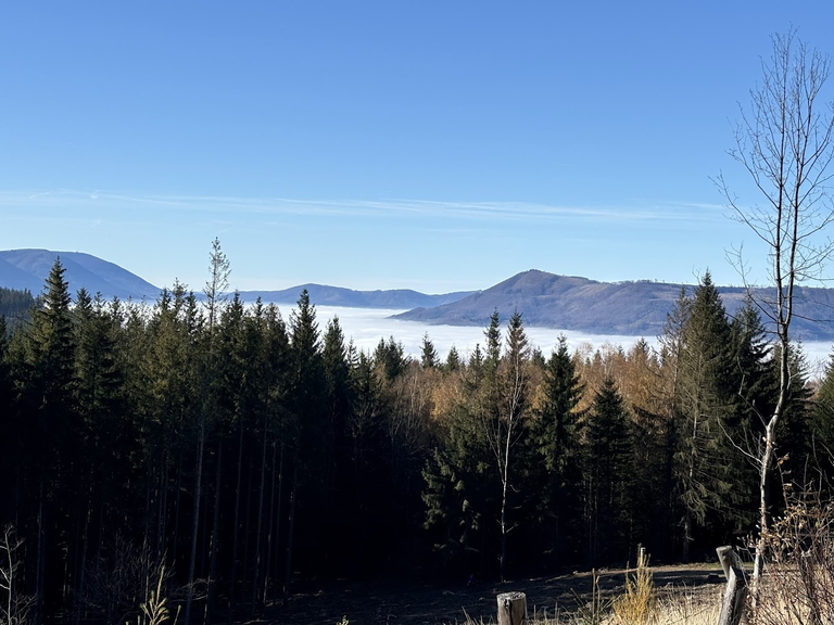 Widok z podejścia na Łysą Górę (szlak niebieski). Góra po lewej, z widocznym przekaźnikiem, to Radhošť, gdzie będziemy drugiego dnia weekendu.