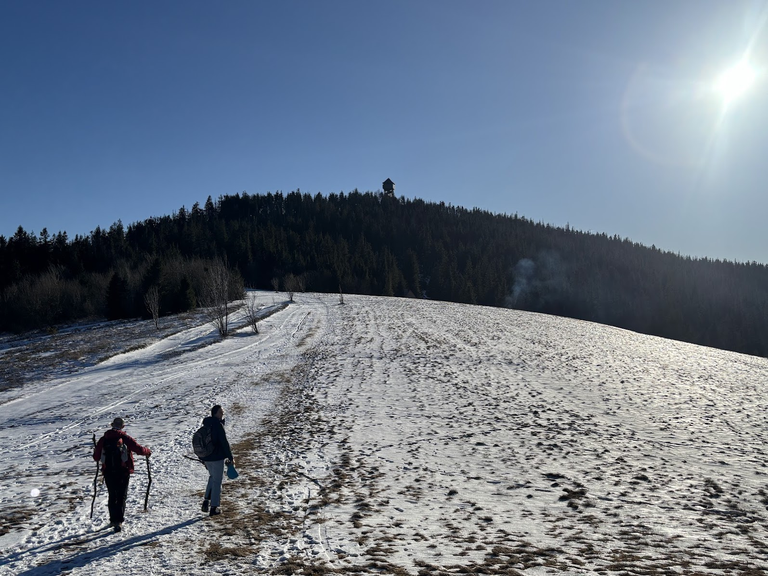 Hala Gorc Kamienicki. W dali wieża widokowa na Gorcu