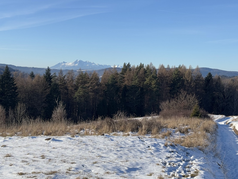 Widok na Tatry Wysokie. Najwyższe widoczne szczyty to Łomnica i Lodowy Szczyt