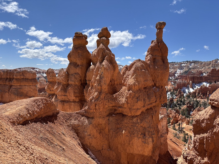 A Group of Hoodoos, Bryce National Park, UT