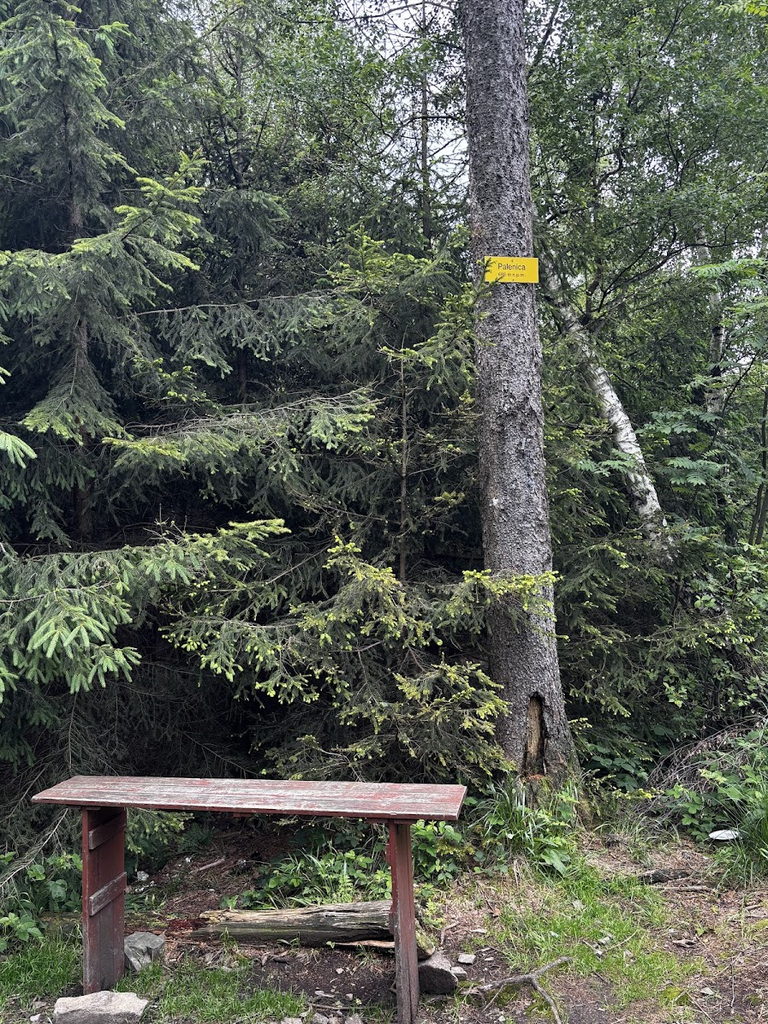 Palenica (688m n.p.m.)