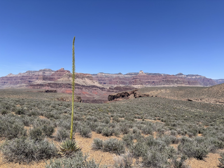 Tonto trail, after Pipe Creek crossing