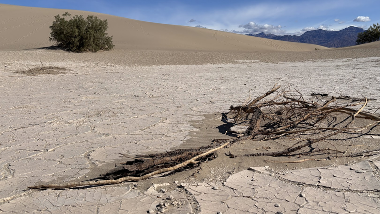Future sandstone formation - Death Valley Mesquite Dunes, CA