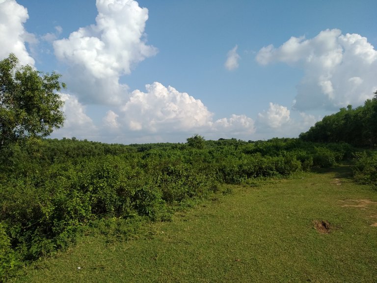 Sky above the Hill