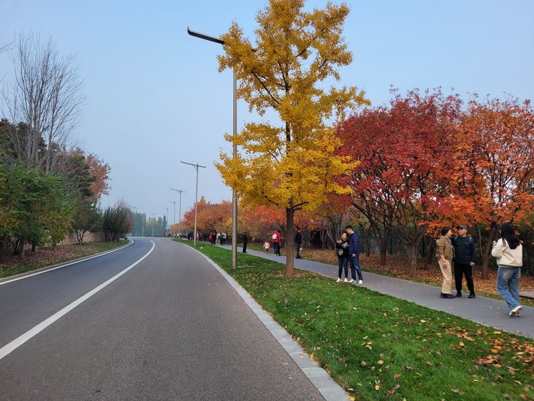 The colorful roadside beauty will definitely attract you. I saw a large number of visitors today that I have never seen in my previous riding through this way.