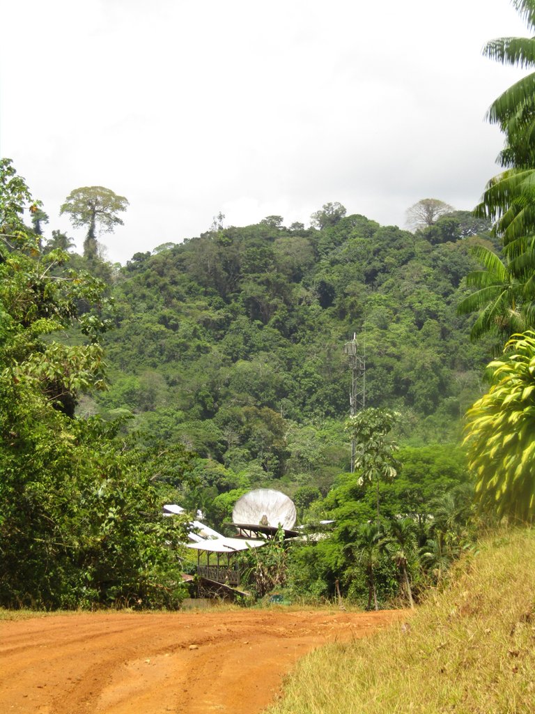 Entrance of Saül