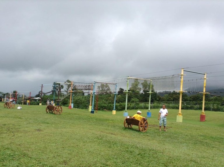 Look at that obstacle rope course! A fun thing to do!