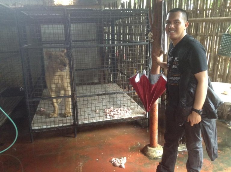 Pose with the “real” Nala?