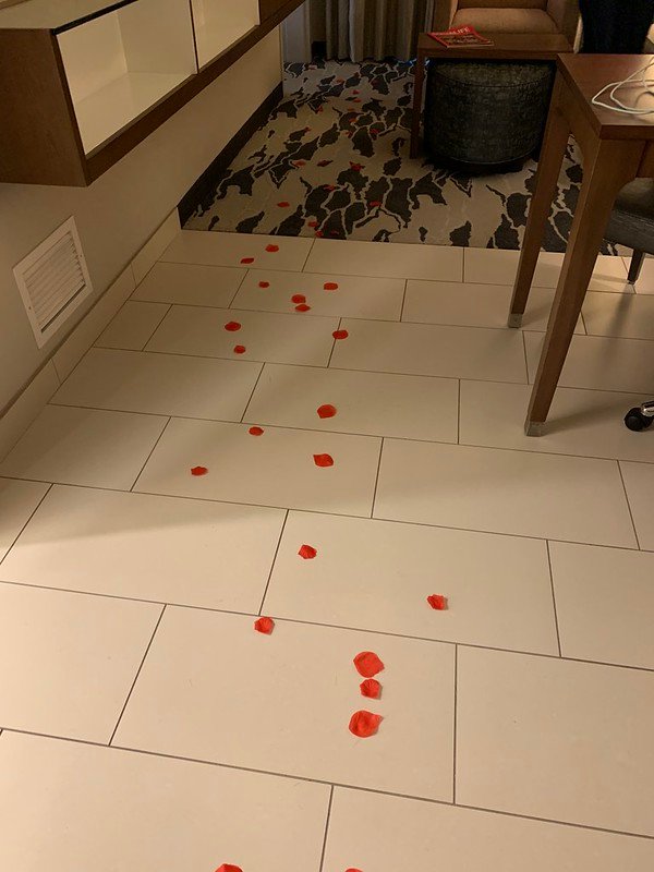 Trail of Rose Petals