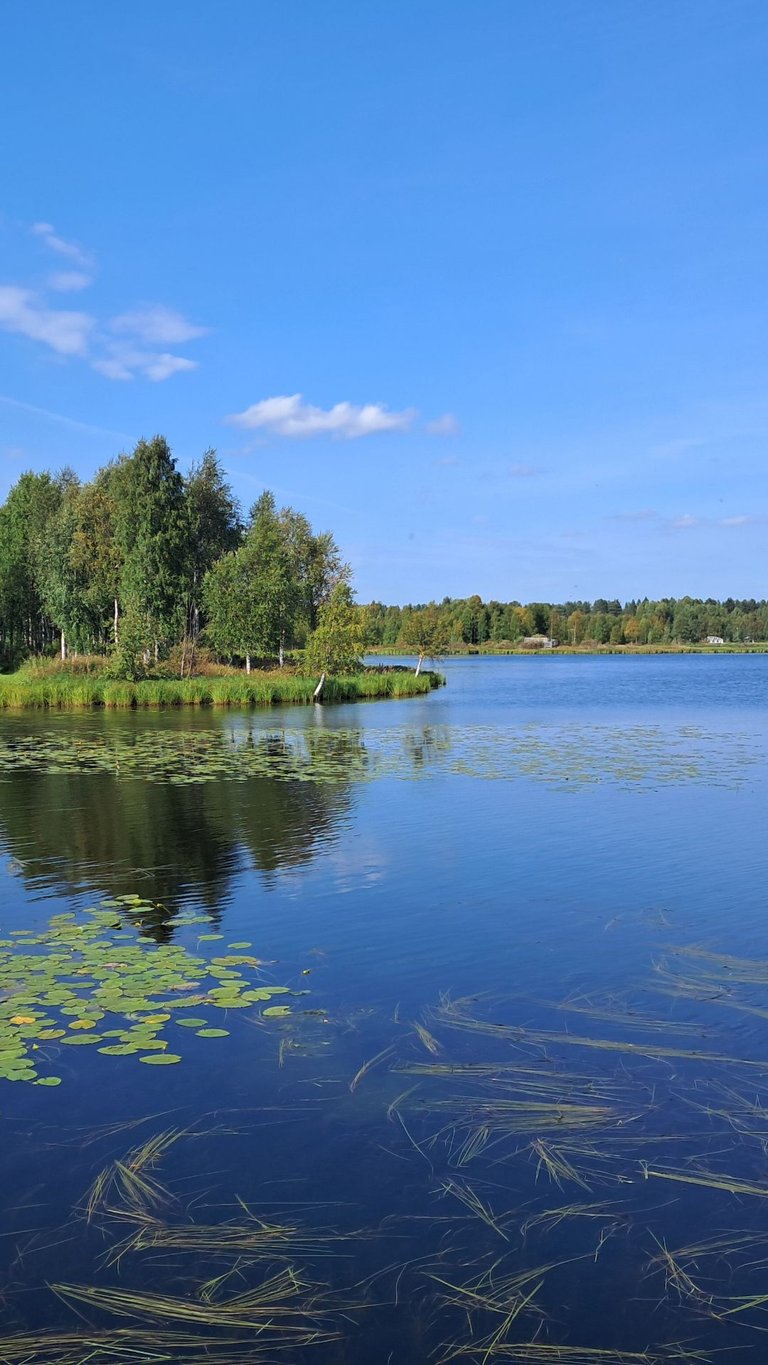 Enjoyed a bike ride into Kuusamo today. Had coffee and then sat and drunk up the view.