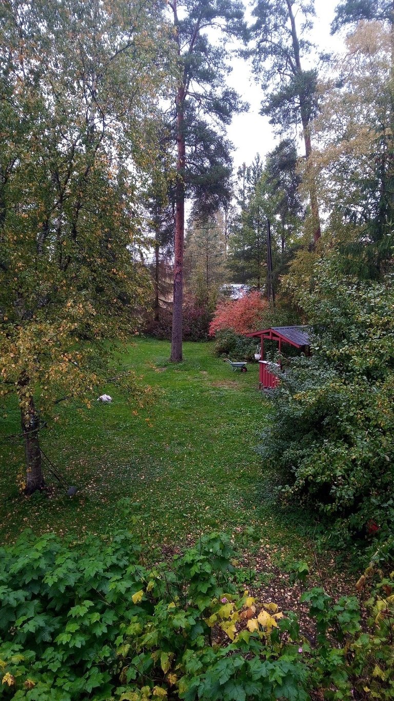 Finnish countryside garden and grill