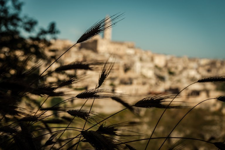 Hiking near Matera