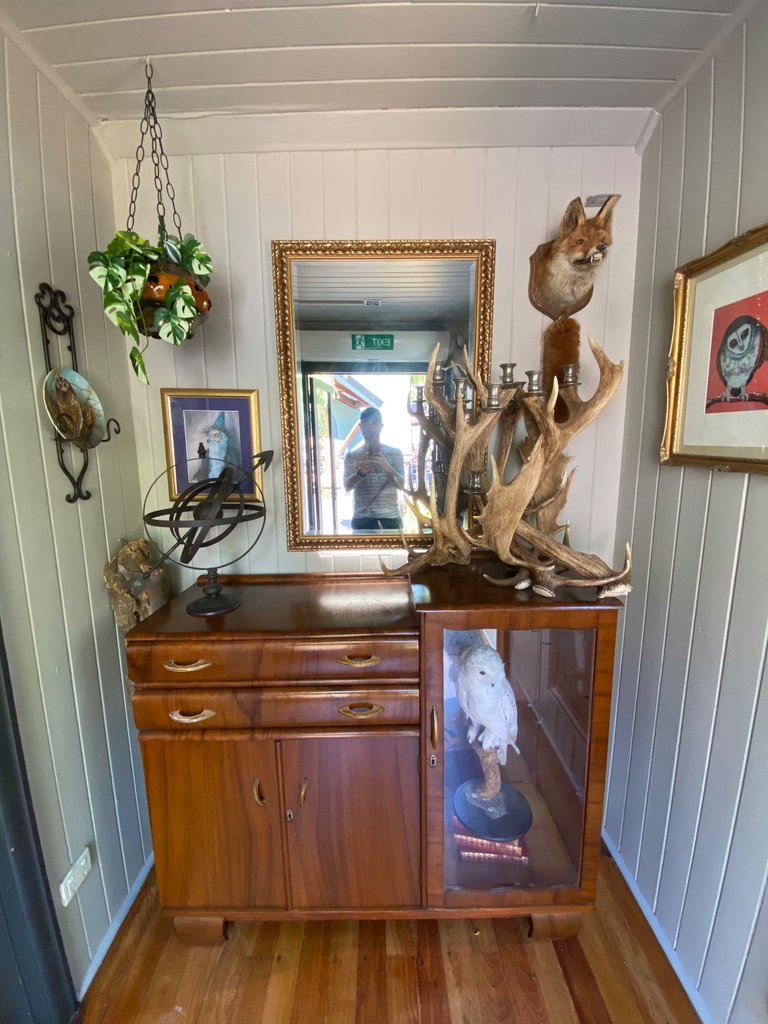 Look at that boofhead in the reflection of that mirror but look in wonder at the decor