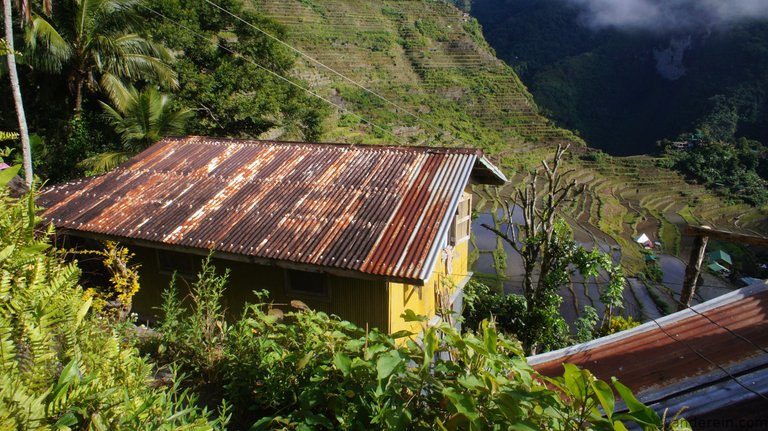 There is cost in nipa hut maintenance, hence, most locals prefer not to build this anymore