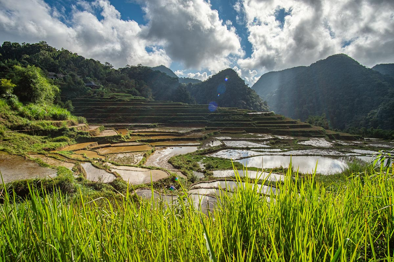 We hope farmers are growing organic rice.