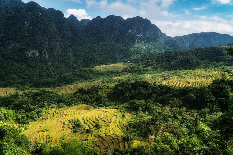 Thank you sun for showing us the rice paddies in a more emphasized way.