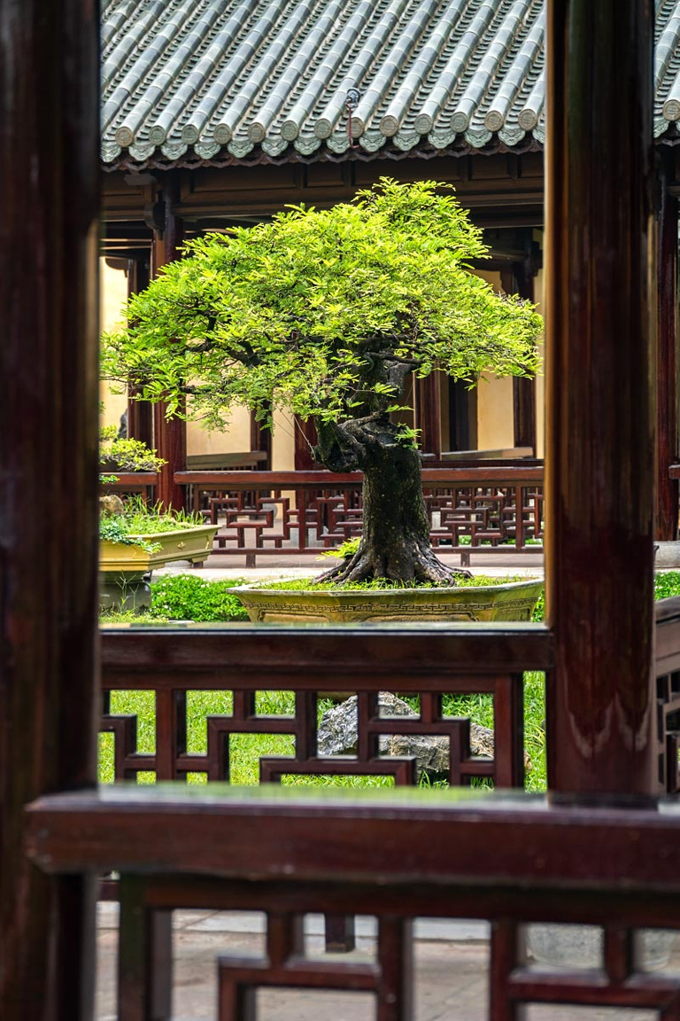 Romantic landscape in no stranger to the Forbidden Purple City