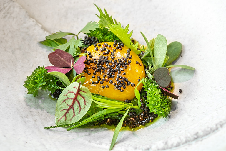 Duck’s yolk with fresh aromatic herbs and burned rapeseeds