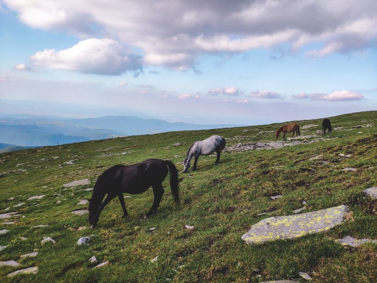 Rila mountain range. Photo by Wander Spot Explore ©