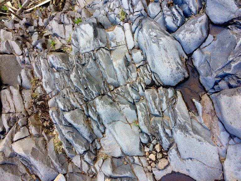 Just looking. Ancient rock in a La Gomera Canyon. Canary islands.