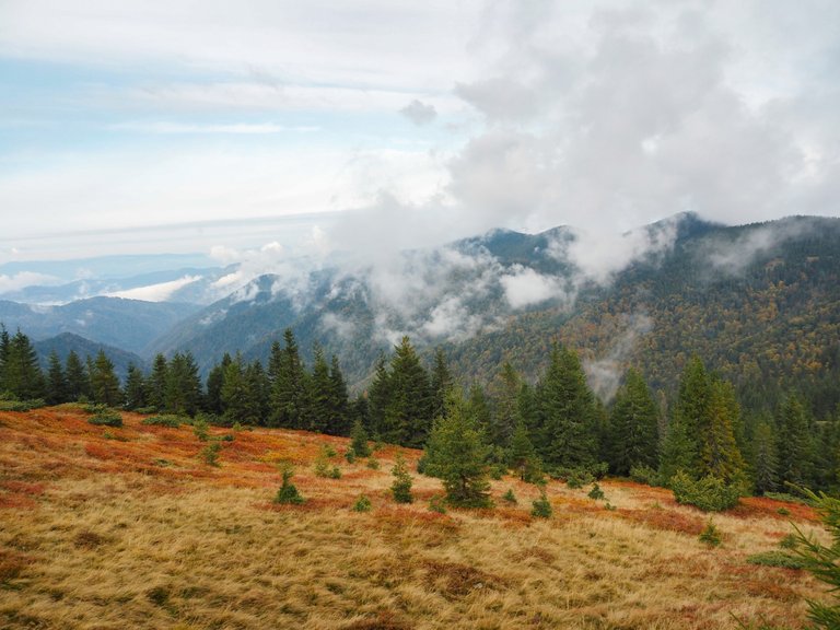 Morning in the mountains