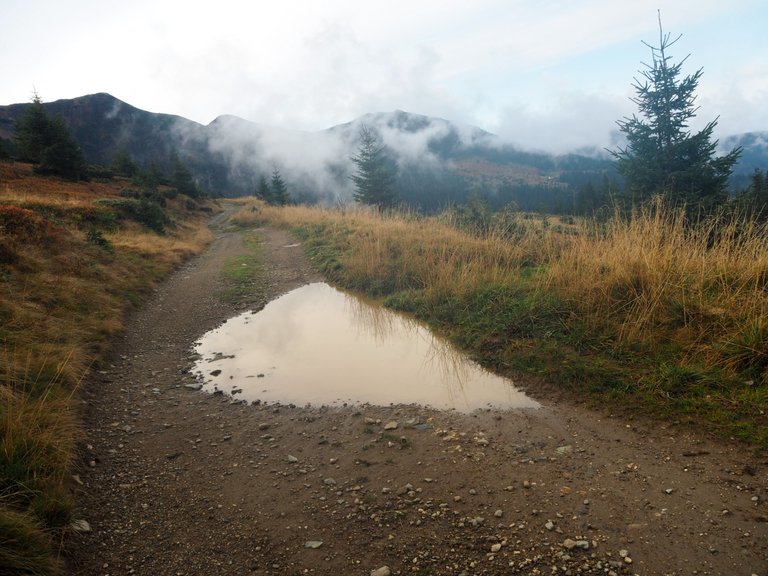 A puddle left after the rain