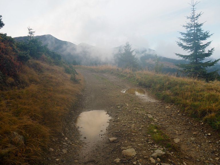 The further path is covered with fog