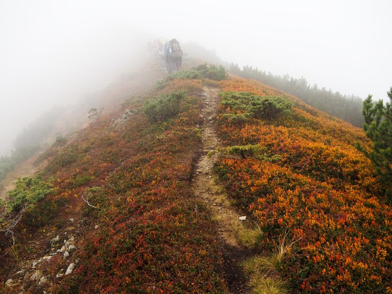 Footpath in the fog