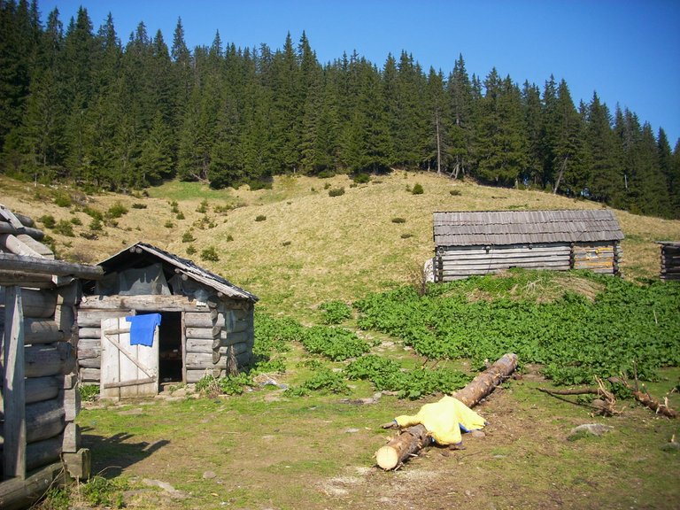 The shepherds' houses where we stayed