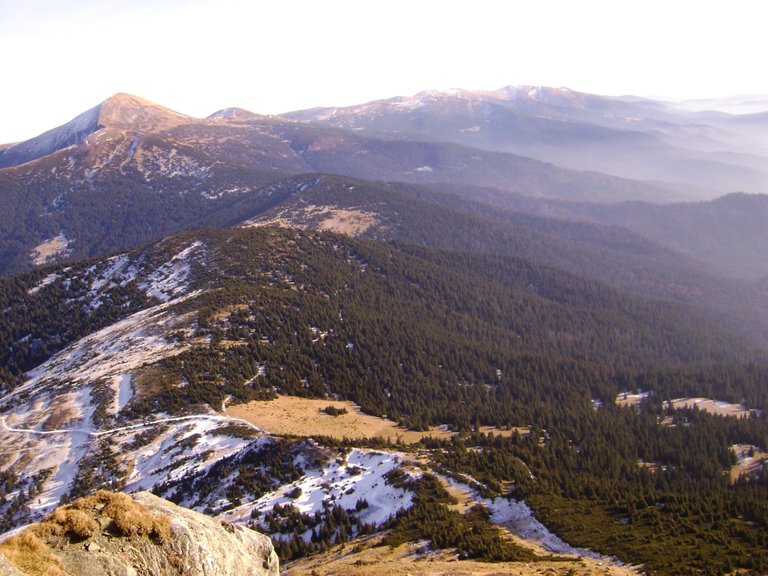 Forested slopes of mountains