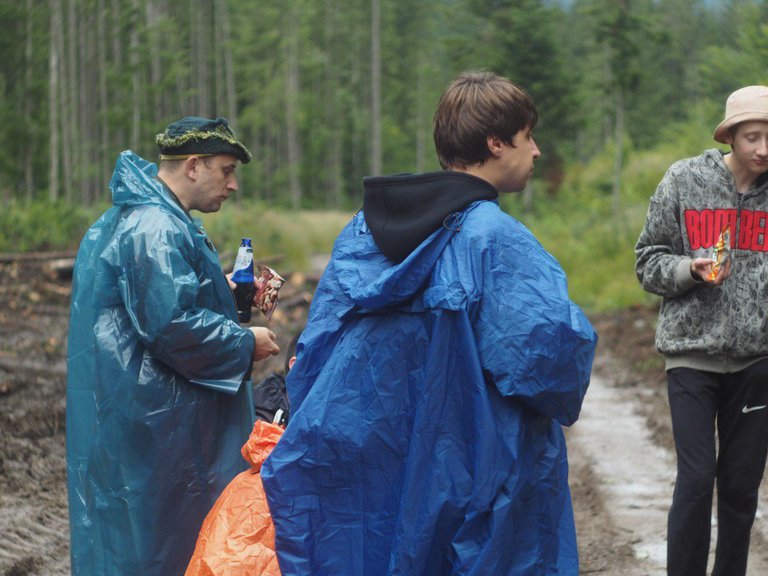 Pickuping mushrooms with friends in the mountains in rain