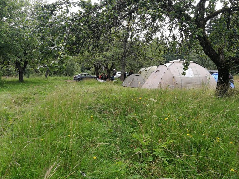 Our camp is in an apple orchard