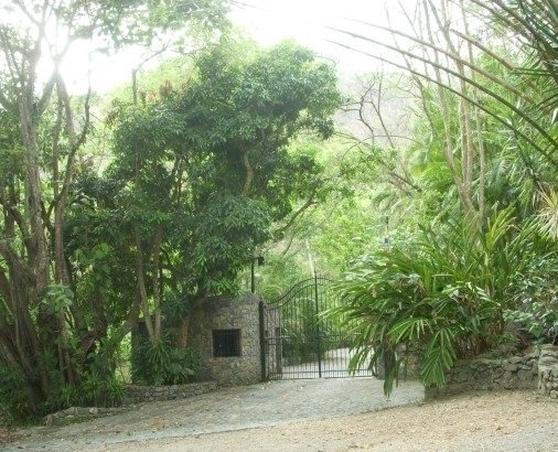 bella casa con un bello jardín y hermoso arboles atrás se mira las hermosa montaña.