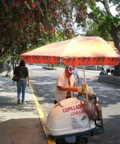 un heladero vendiendo rico cepillado en plana luz dia
