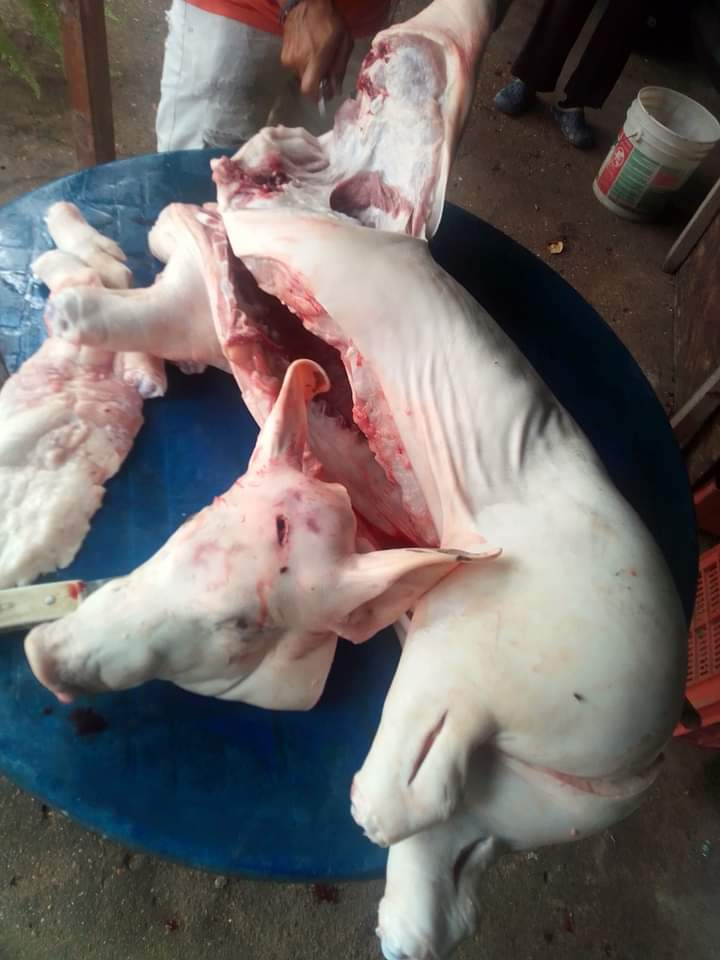 the pig already chopped in several places